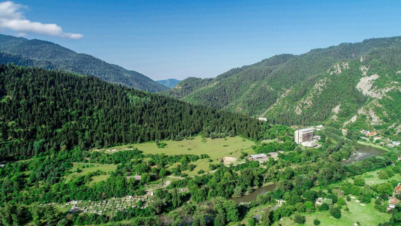 Natali Hotel Borjomi Bagian luar foto