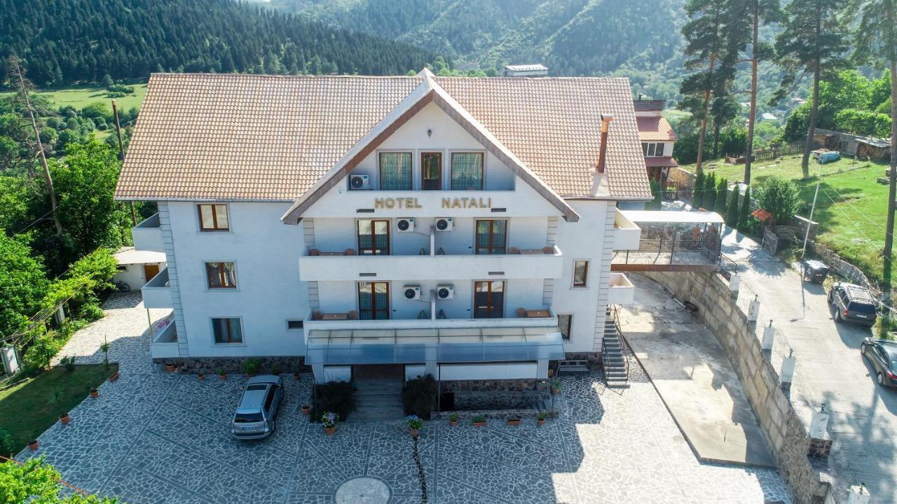 Natali Hotel Borjomi Bagian luar foto