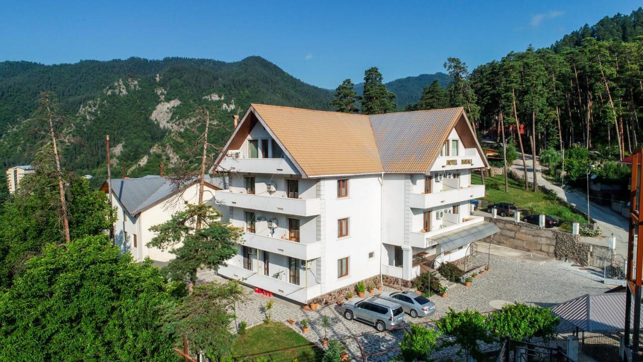 Natali Hotel Borjomi Bagian luar foto