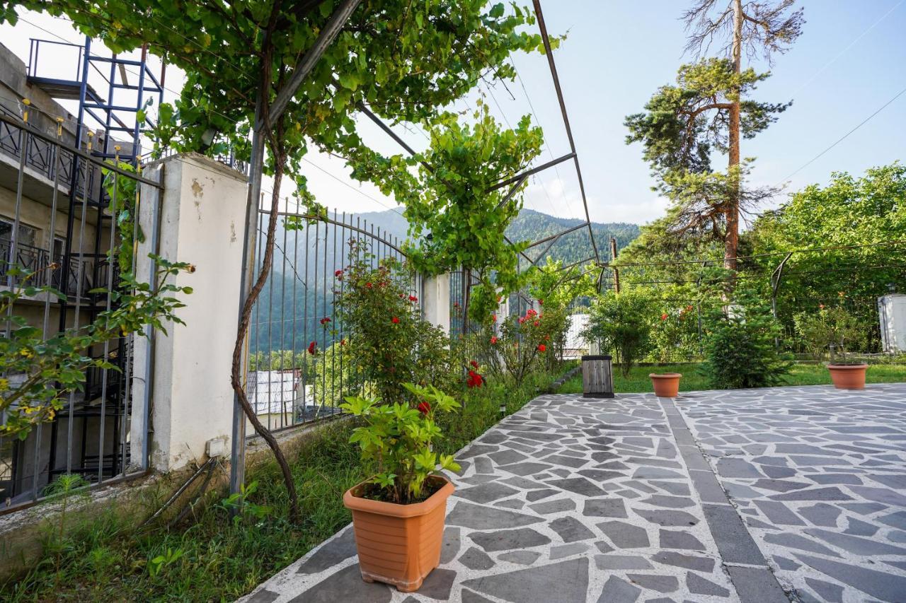 Natali Hotel Borjomi Bagian luar foto