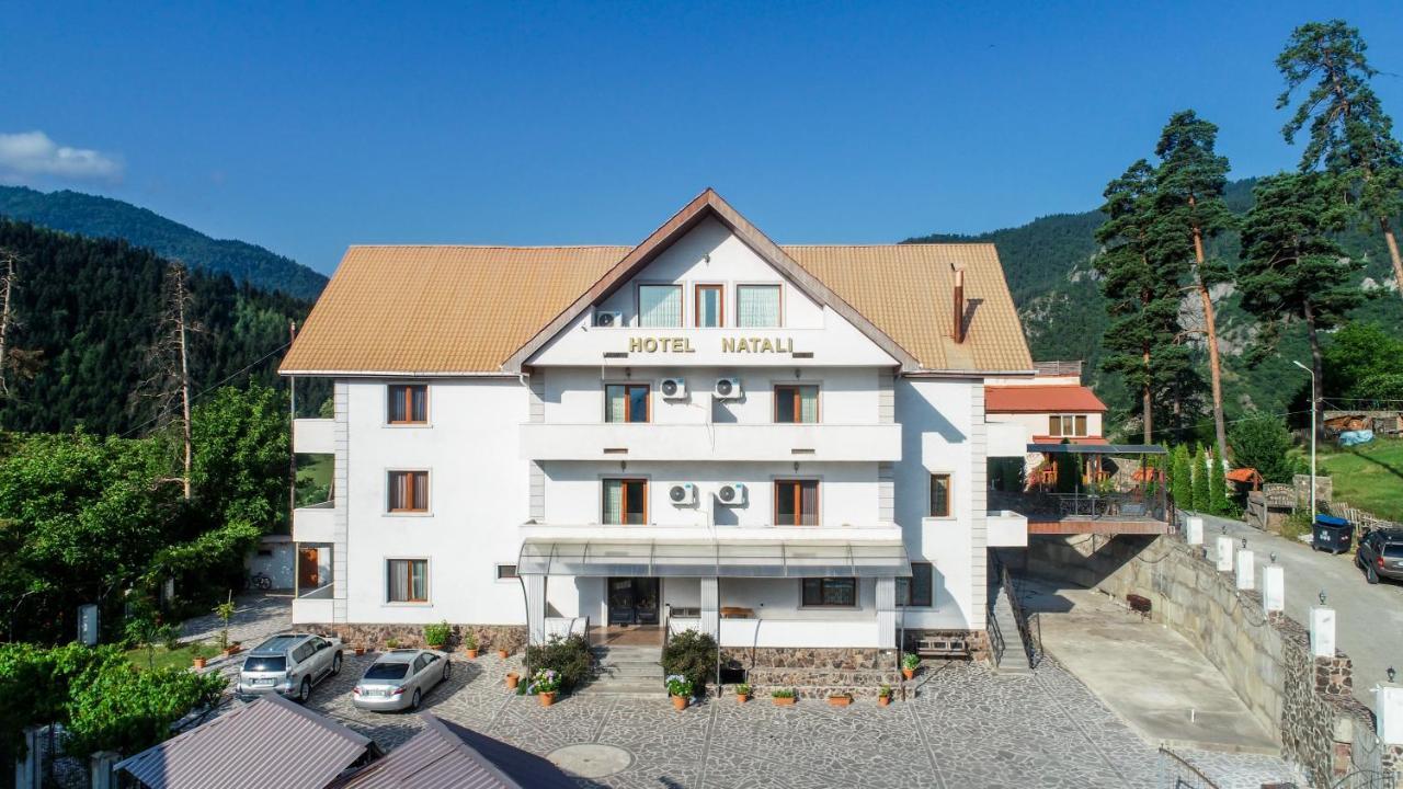 Natali Hotel Borjomi Bagian luar foto