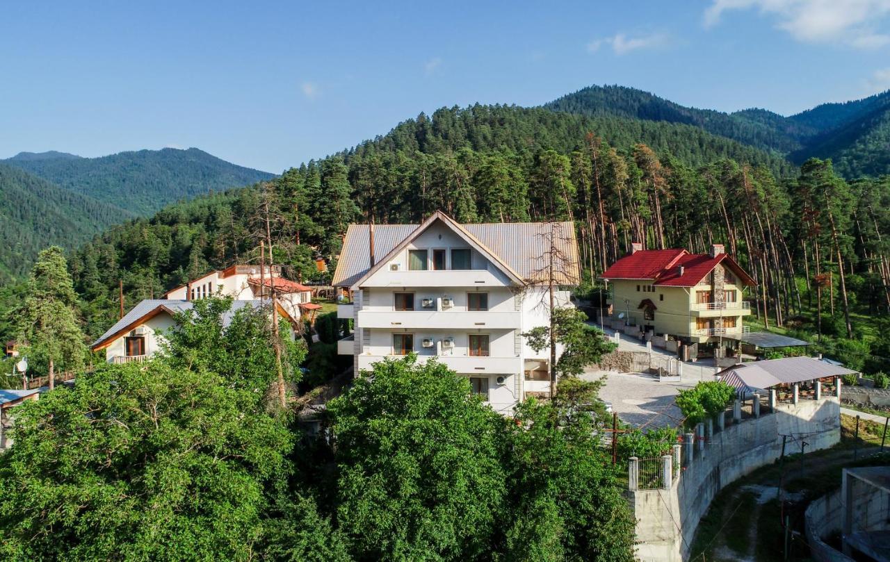 Natali Hotel Borjomi Bagian luar foto