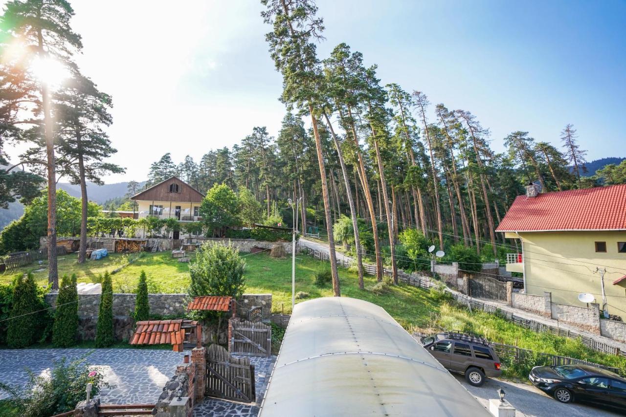 Natali Hotel Borjomi Bagian luar foto