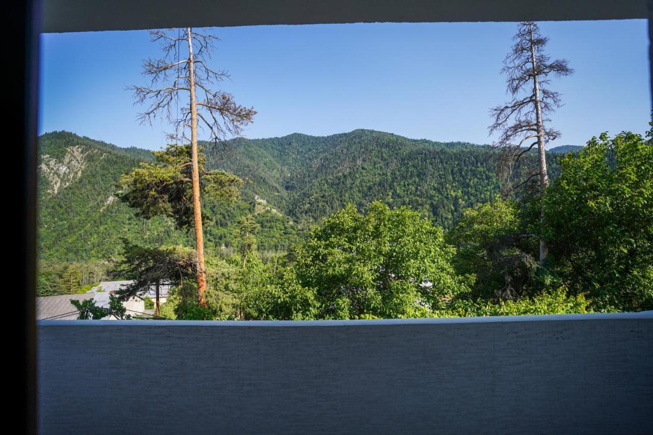 Natali Hotel Borjomi Bagian luar foto