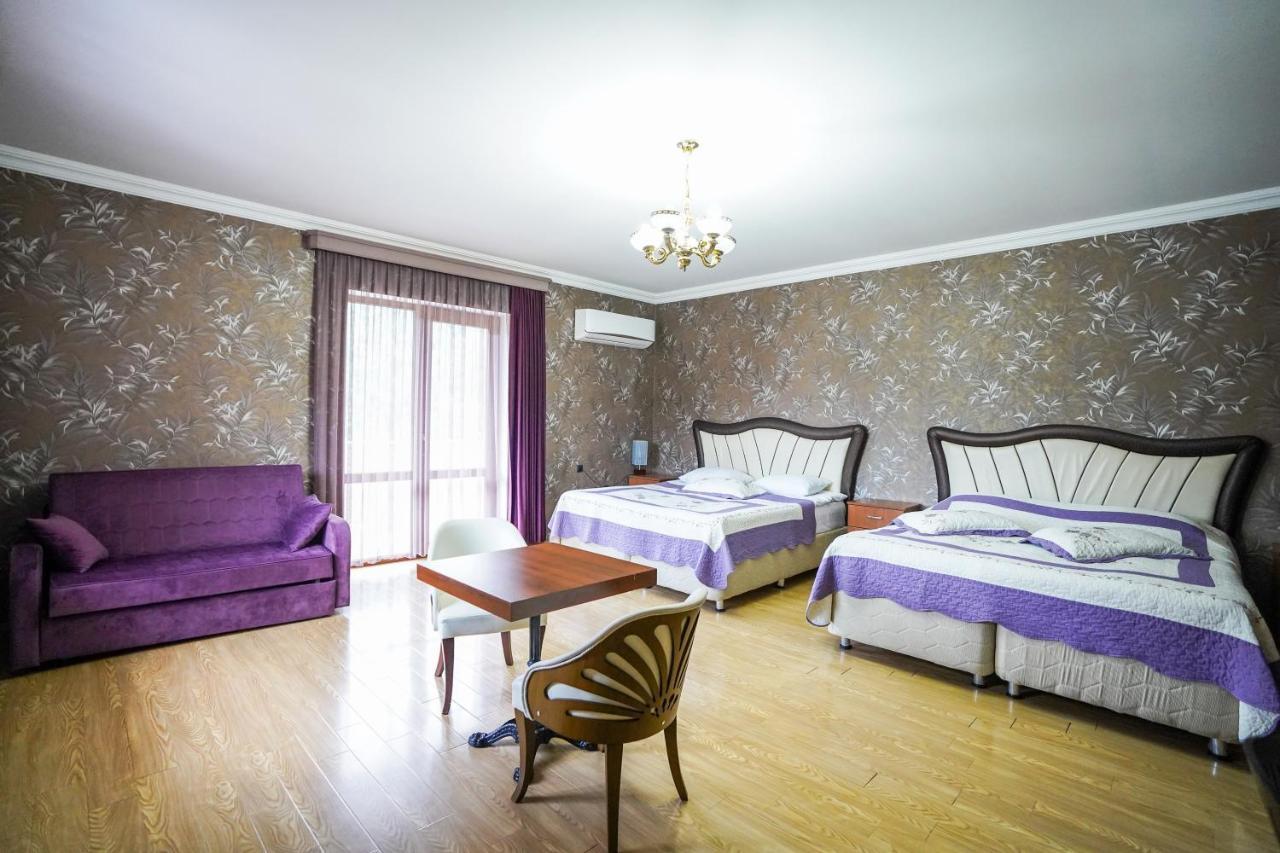 Natali Hotel Borjomi Bagian luar foto