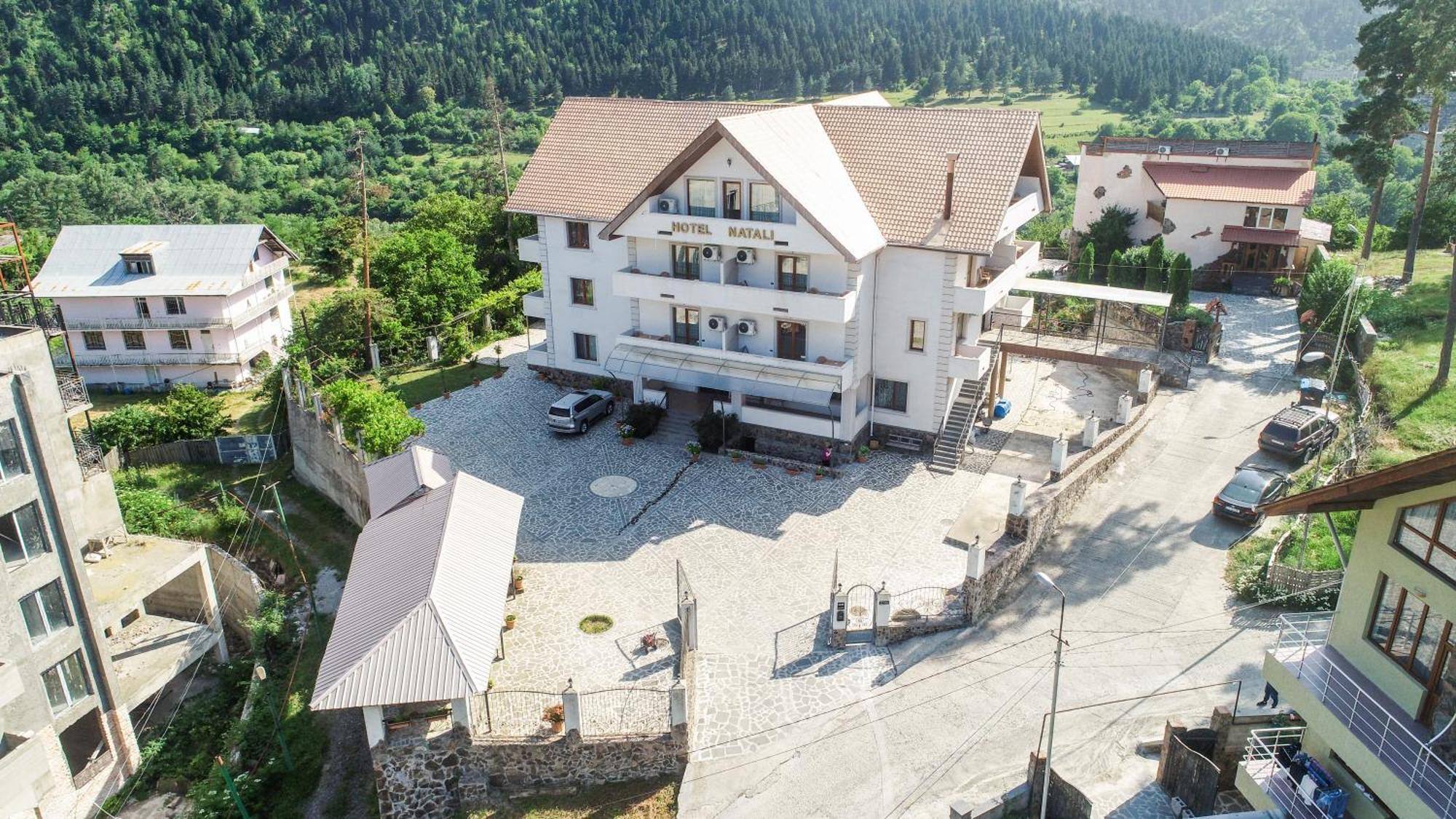 Natali Hotel Borjomi Bagian luar foto