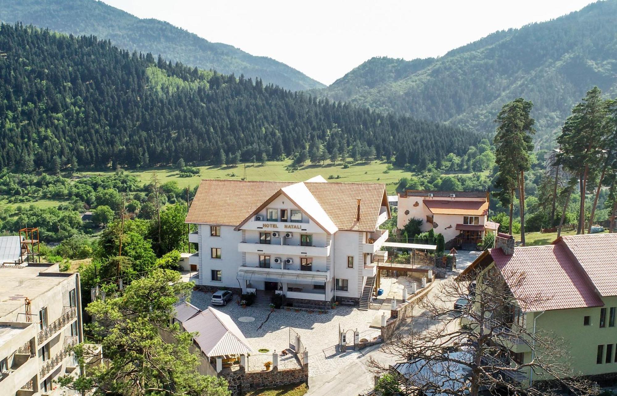 Natali Hotel Borjomi Bagian luar foto