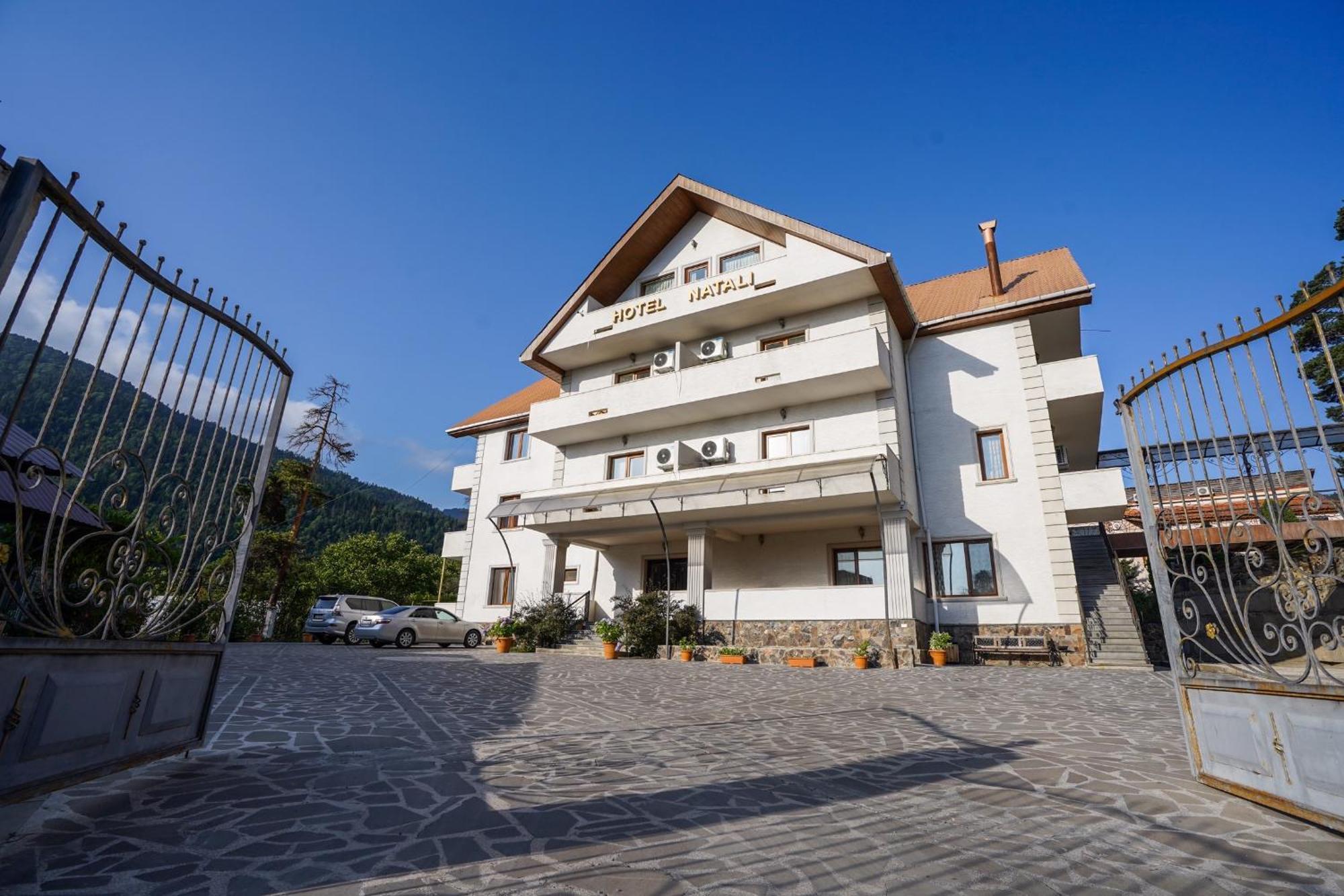Natali Hotel Borjomi Bagian luar foto