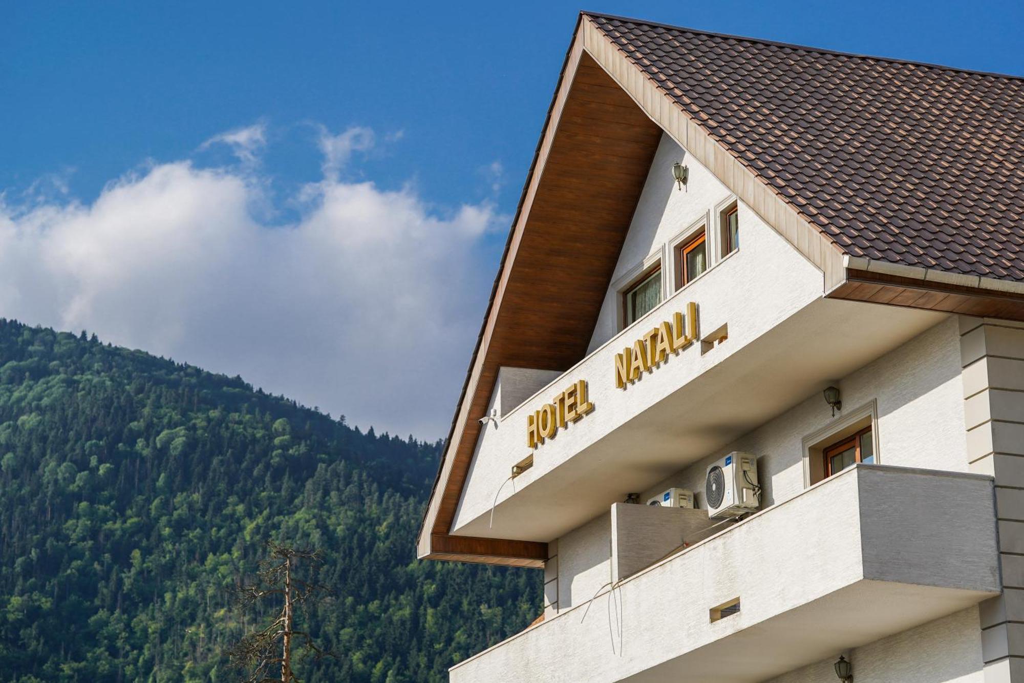 Natali Hotel Borjomi Bagian luar foto